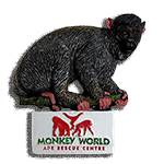 SQUIRREL MONKEY MAGNET